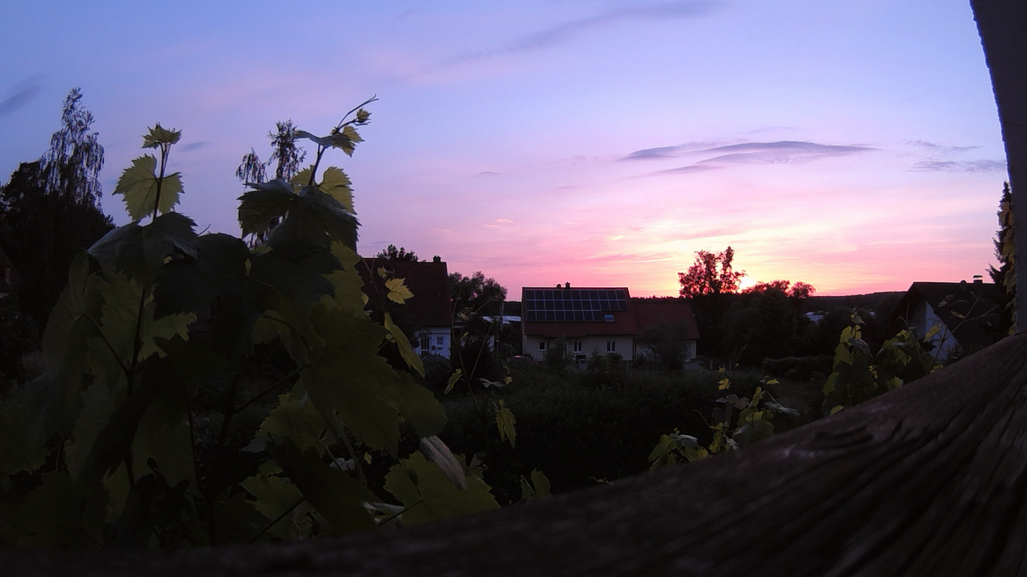 Polaroid CUBE - Abendsonne