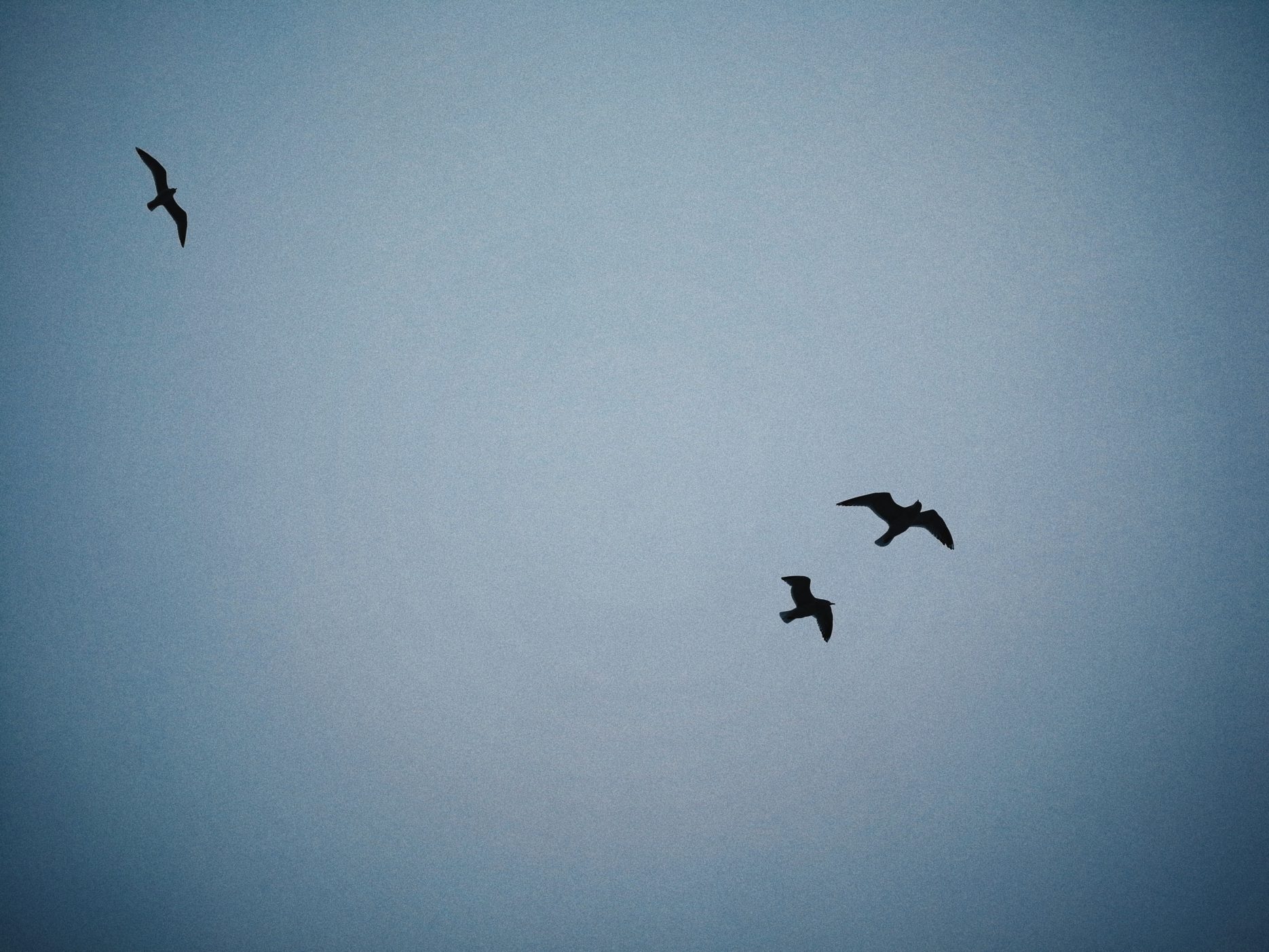 finland - 2020 - talvi -winter